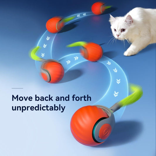 9055